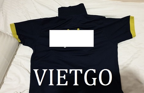  Áo Polo Vietgo